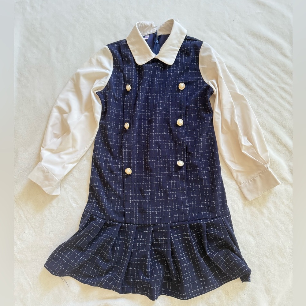 Navy and White Collared Dress